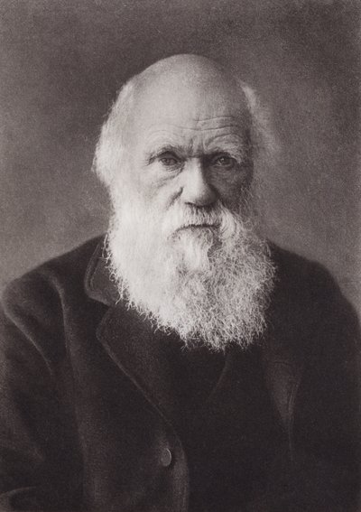 Charles Darwin, portrét, c 1880 (č/b foto) od English Photographer