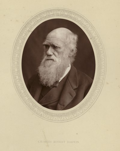 Charles Robert Darwin od English Photographer