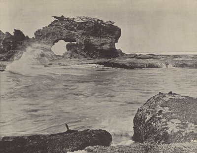 Pobřežní scéna, Bridgewater od English Photographer