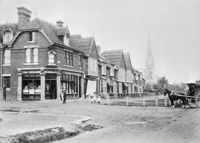 Roh Chase Side a Chase Green Avenue, cca 1890 černobílá fotografie) od English Photographer