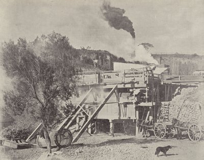 Crushing Stone, Kiama Quarries, New South Wales od English Photographer