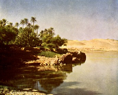 Elephantine od English Photographer
