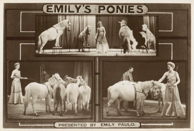 Emily Paulo a její výkonní trénovaní poníci (č/b foto) od English Photographer