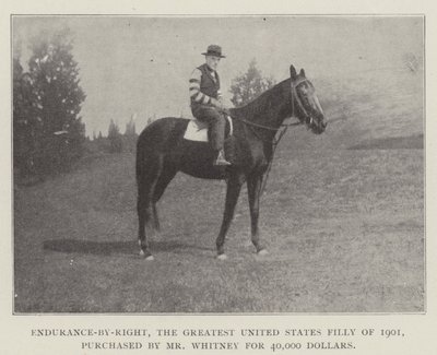 Endurance-by-Right, největší klisnička Spojených států z roku 1901, kterou koupil pan Whitney za 40 000 dolarů od English Photographer