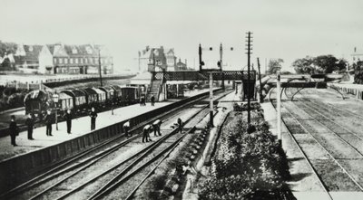 Grove Park Station: exteriér a nástupiště, 1888 od English Photographer