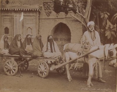 Koňský vůz, Káhira, 1893 od English Photographer