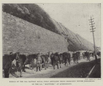 Koně 79. baterie královského polního dělostřelectva se cvičí před naloděním na SS Montford v Queenstownu od English Photographer