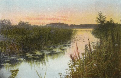 Hoveton Broad od English Photographer