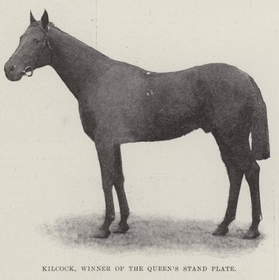 Kilcock, vítěz Queens Stand Plate od English Photographer