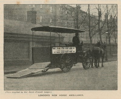 Londýnská nová koňská ambulance od English Photographer