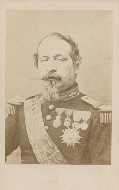 Napoleon III od English Photographer