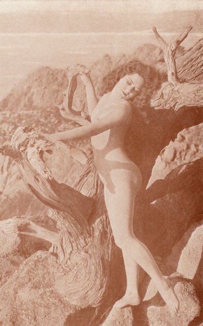 Nudistické umění: Stín (čb fotografie) od English Photographer