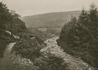 Cesta Bagworthy Water, údolí Doone od English Photographer