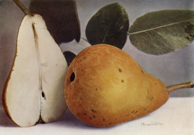 Birne, Durondeau von English Photographer