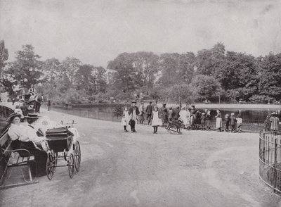 Peckham Park od English Photographer