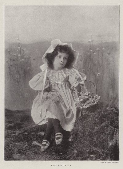 Prvosenky od English Photographer