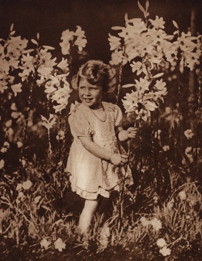 Princezna Alžběta v zahradě od English Photographer