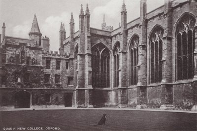 Quadrangle New College, Oxford od English Photographer