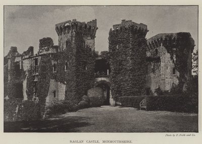 Hrad Raglan, Monmouthshire od English Photographer
