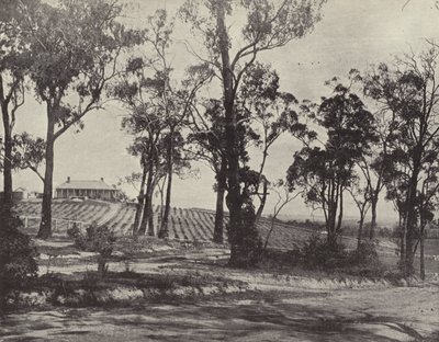 Scéna na Gembrook Road, Victoria od English Photographer