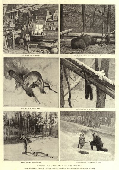 Scény života v zapadlých lesích od English Photographer