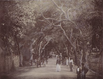 Skinners Road, Colombo (barevné fotografie) od English Photographer