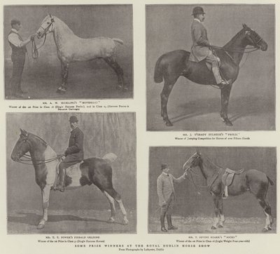 Někteří vítězové na Royal Dublin Horse Show od English Photographer