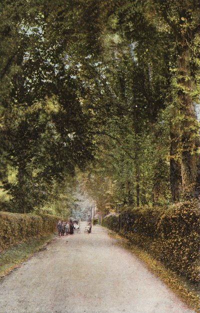 Spencer Road, Ryde od English Photographer