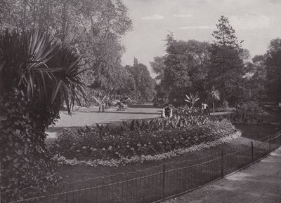 Subtropické zahrady, Battersea Park od English Photographer