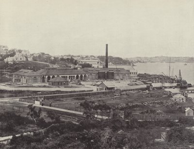 Sunlight Soap Companys Works, poblíž Sydney od English Photographer