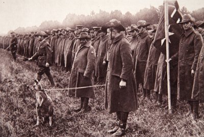 Recenze Anzac na Salisbury Plain: australský maskot, ilustrace z The Illustrated War News, 27. září 1916 (sépiová fotografie) od English Photographer
