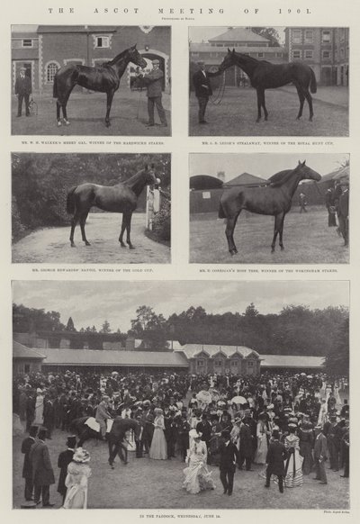 Ascotské setkání v roce 1901 od English Photographer