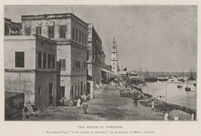 Pláž na Zanzibaru od English Photographer