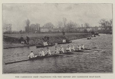 Cambridge Crew cvičí na Oxford a Cambridge Boat-Race od English Photographer