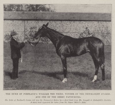 Vévoda z Portlands William Třetí, vítěz Newmarket Stakes a jeden z favoritů Derby od English Photographer