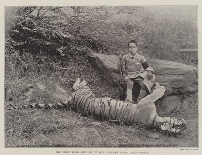 První tygr zastřelený princem Bughwanem Singhem, ve věku dvanáct od English Photographer
