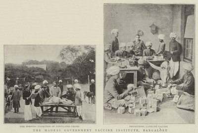 Madras Government Vaccine Institute, Bangalore od English Photographer