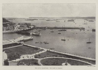 Námořní manévry, flotila v Torbay od English Photographer