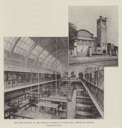 Nová budova Hornimanova muzea na Forest Hill, otevřena 29. června od English Photographer