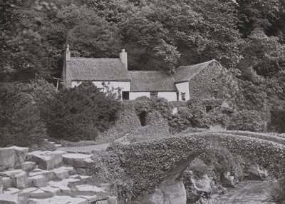 Starý mlýn, Jesmond Dene (č/b foto) od English Photographer