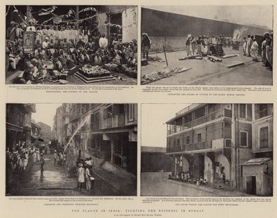 Mor v Indii, boj s epidemií v Bombaji od English Photographer