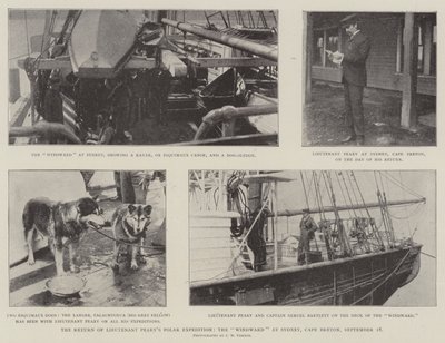 Návrat poručíka Pearyse Polární expedice, Návětrná v Sydney, Cape Breton, 18. září od English Photographer