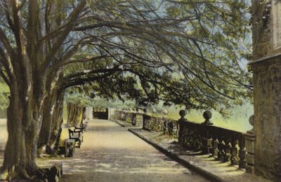 Terasa, Haddon Hall od English Photographer