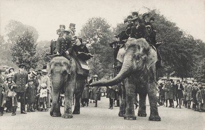 Sloni z londýnské zoo v Regent