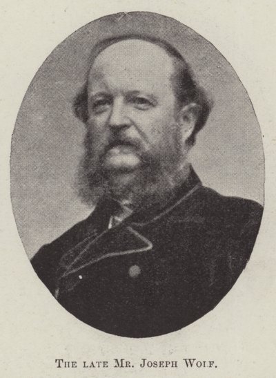 Zesnulý pan Joseph Wolf od English Photographer