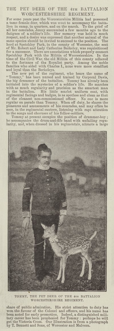Tommy, jelen ze 4. praporu Worcestershire Regiment od English Photographer
