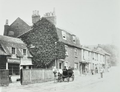 Tottenham Lane, Hornsey: přední pohledy, kolem roku 1890 od English Photographer