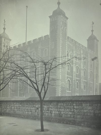 Tower of London, Tower Hill: Bílá věž, 1899 od English Photographer