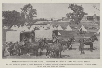 Transportní vozy South Australian Bushmens Corps pro Jižní Afriku od English Photographer