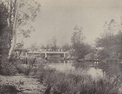 Undercliffe Bridge, Cooks River od English Photographer